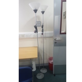 Standing Lamps