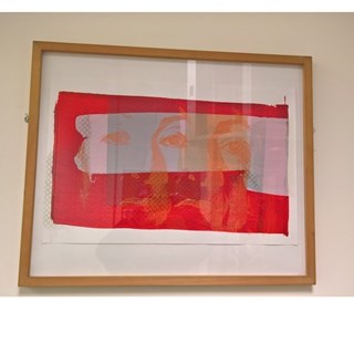 Framed pictures