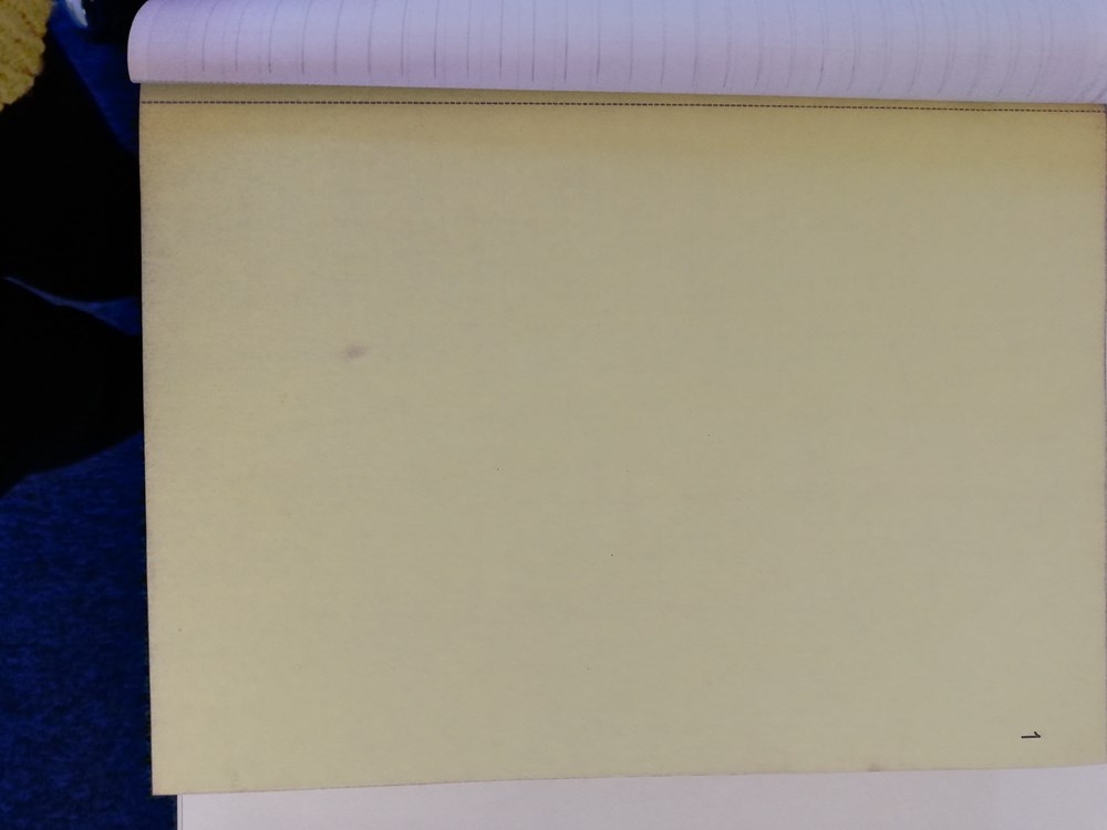 Triplicate books - 2