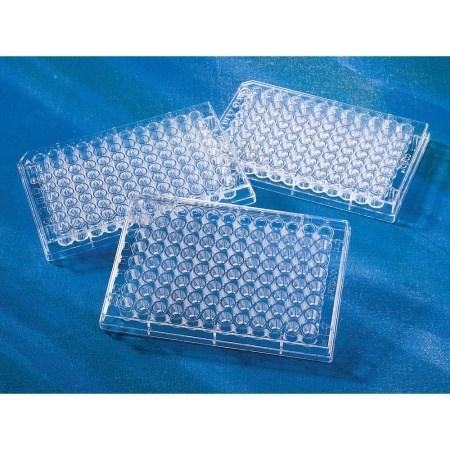 96-Well U Bottom Plates (No Lids)