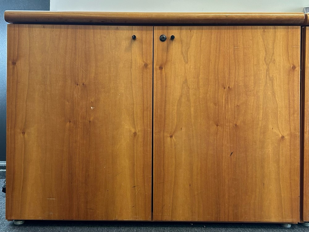 Wooden cabinet, a versatile storage solution with two doors and a convenient shelf