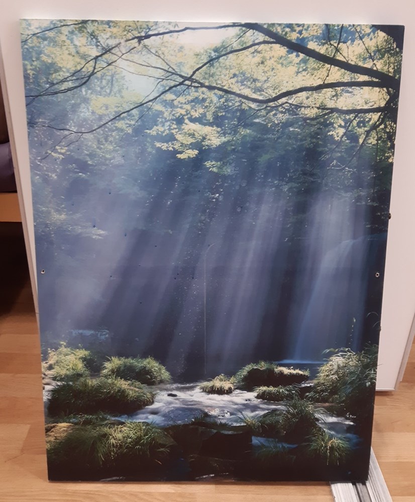 Canvas Print
