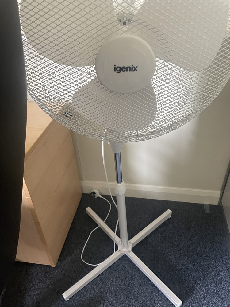 Standing Fan
