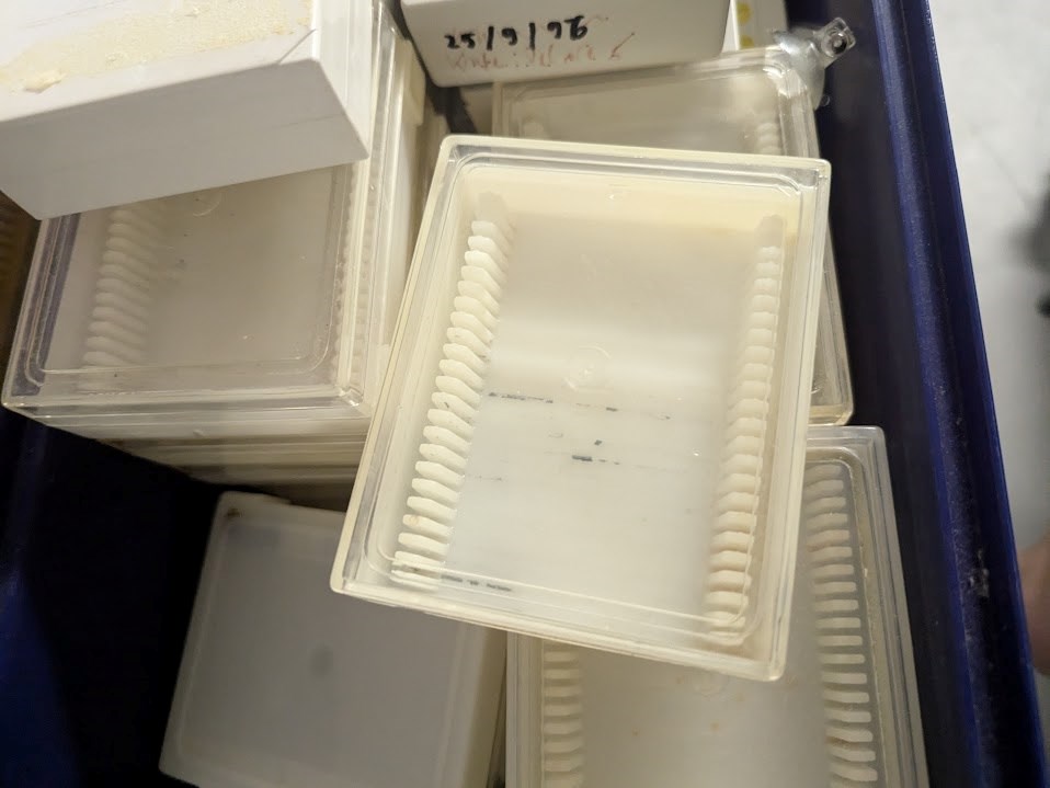 Microscope slide boxes - available on Warp It, reuse surplus assets ...