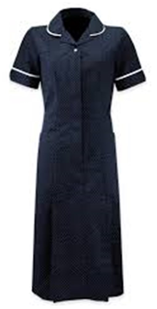Female Dress, Navy with White Trim, 14P