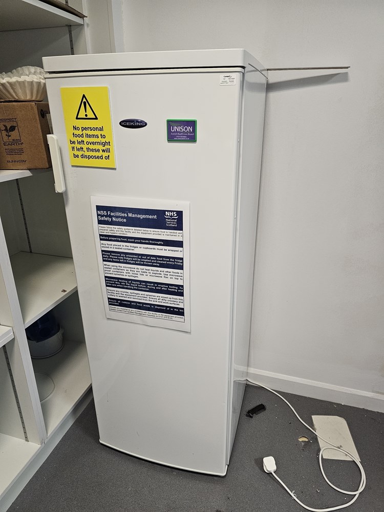 Freestanding Fridge