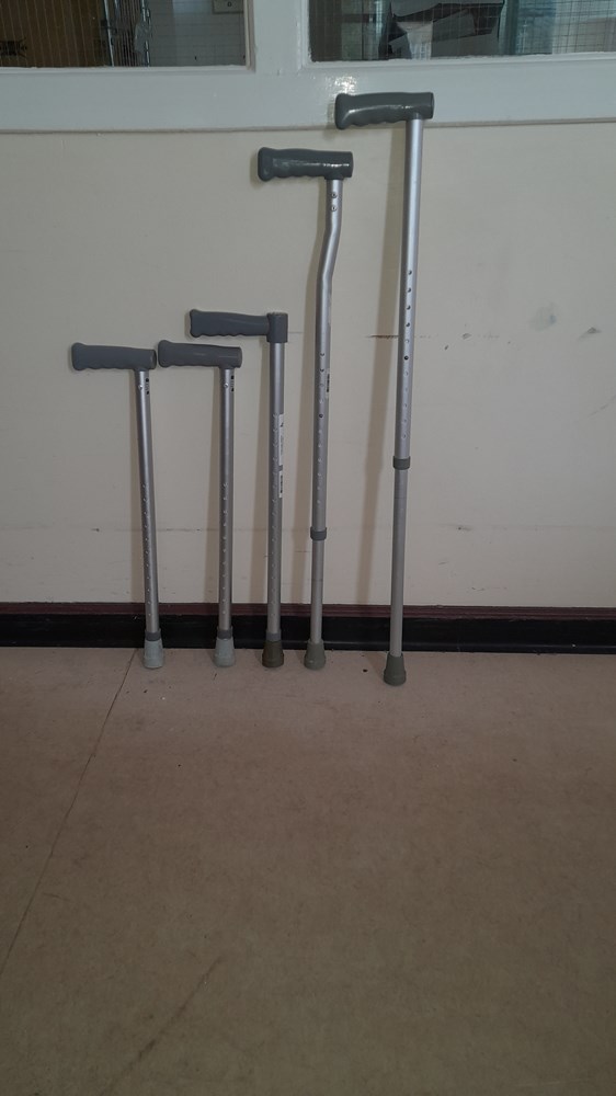 walking stick