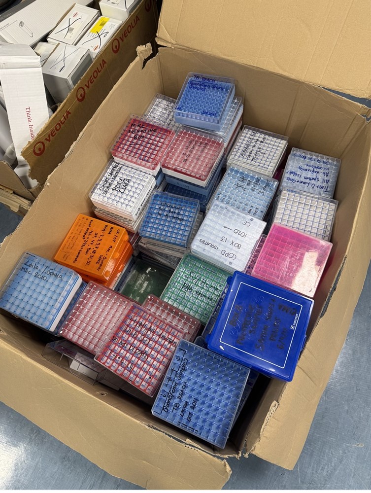 various assortment of cryoboxes/storage boxes