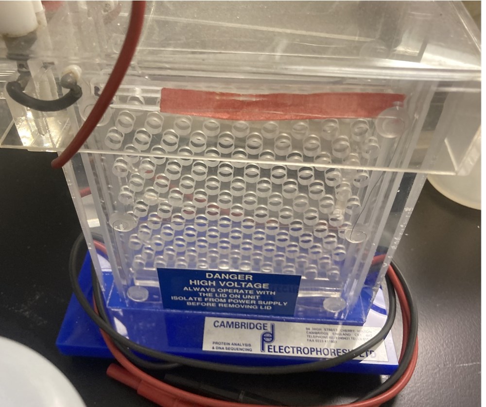 Cambridge Electrophoresis