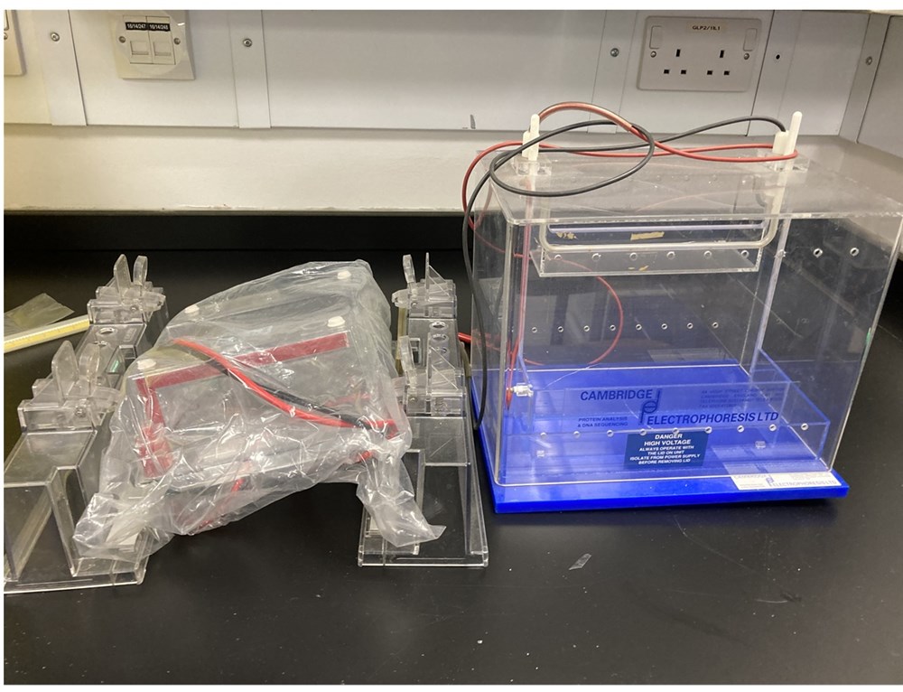 Cambridge Electrophoresis