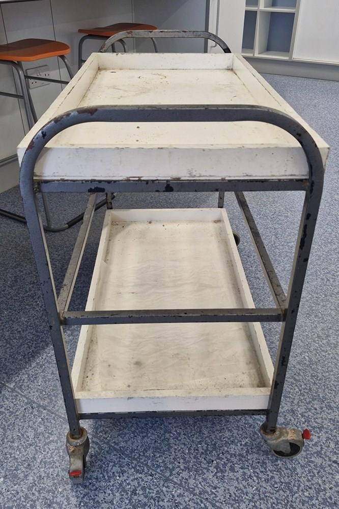 3-shelved trolleys
