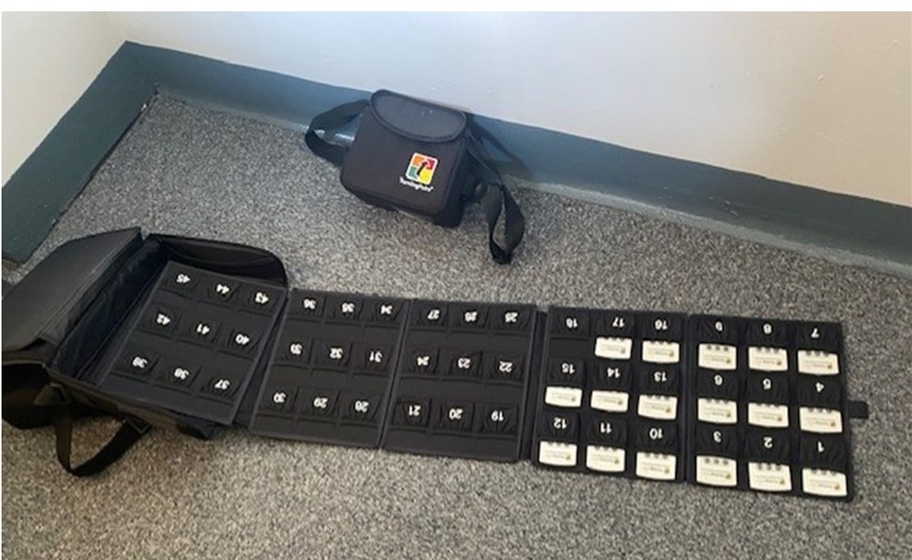 Electronic Voting System