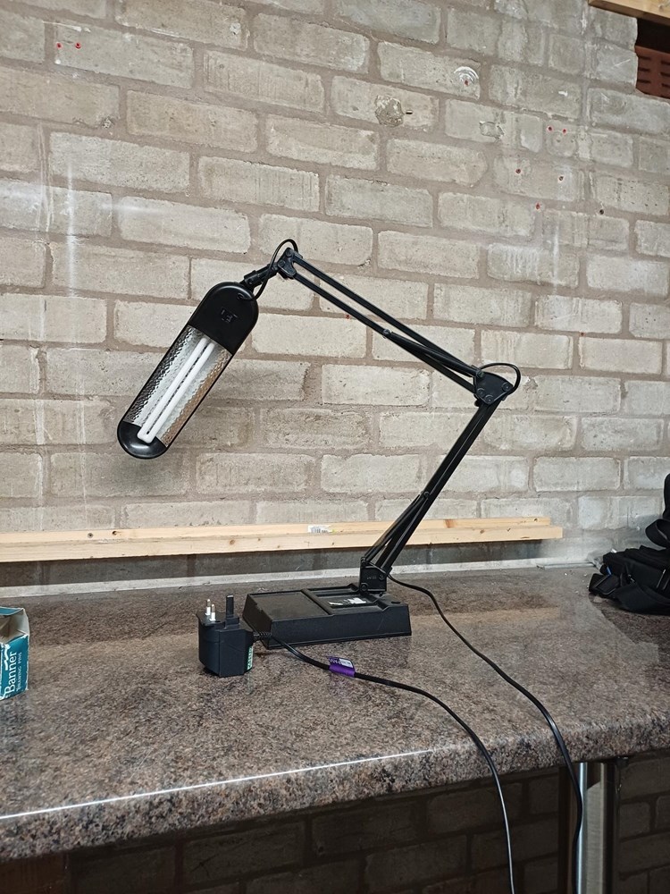 Black lamp