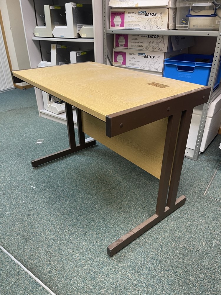 Solid Desk (cleaned before collection)