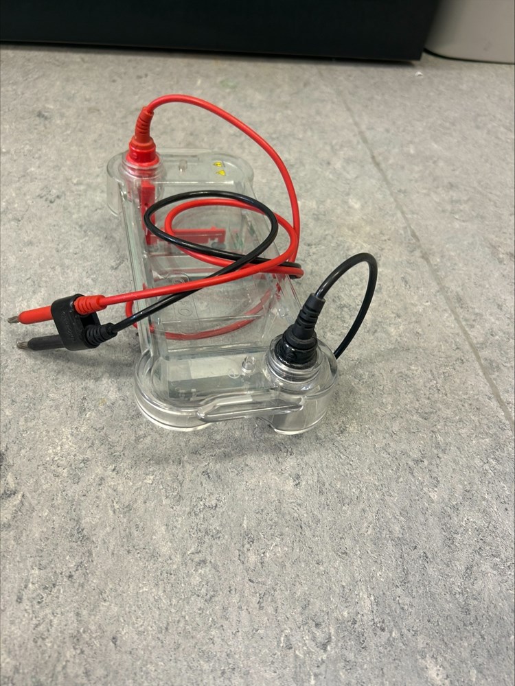 Agarose Gel Electrophoresis Tank