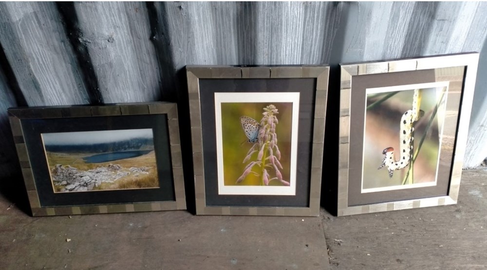 3x picture frames