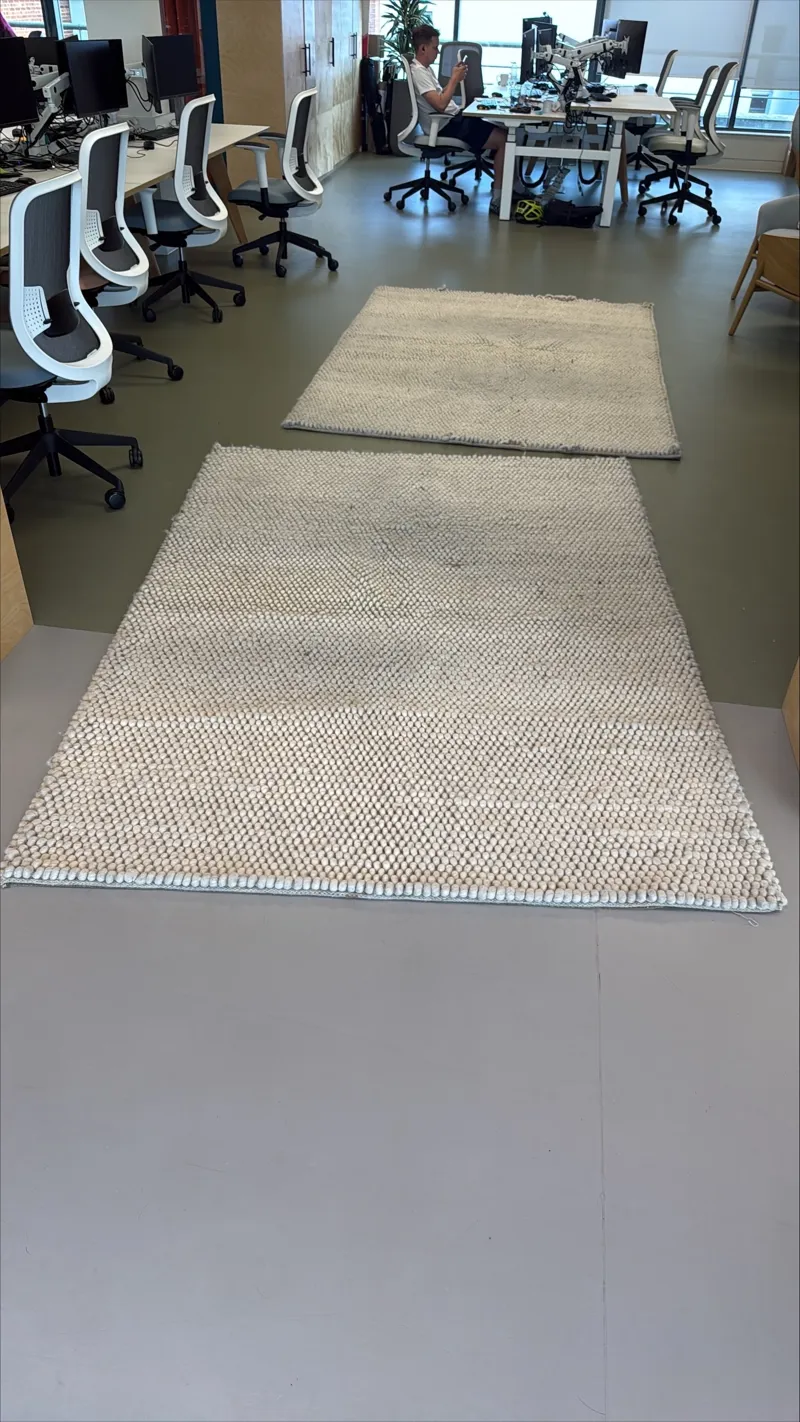 Rug/carpet