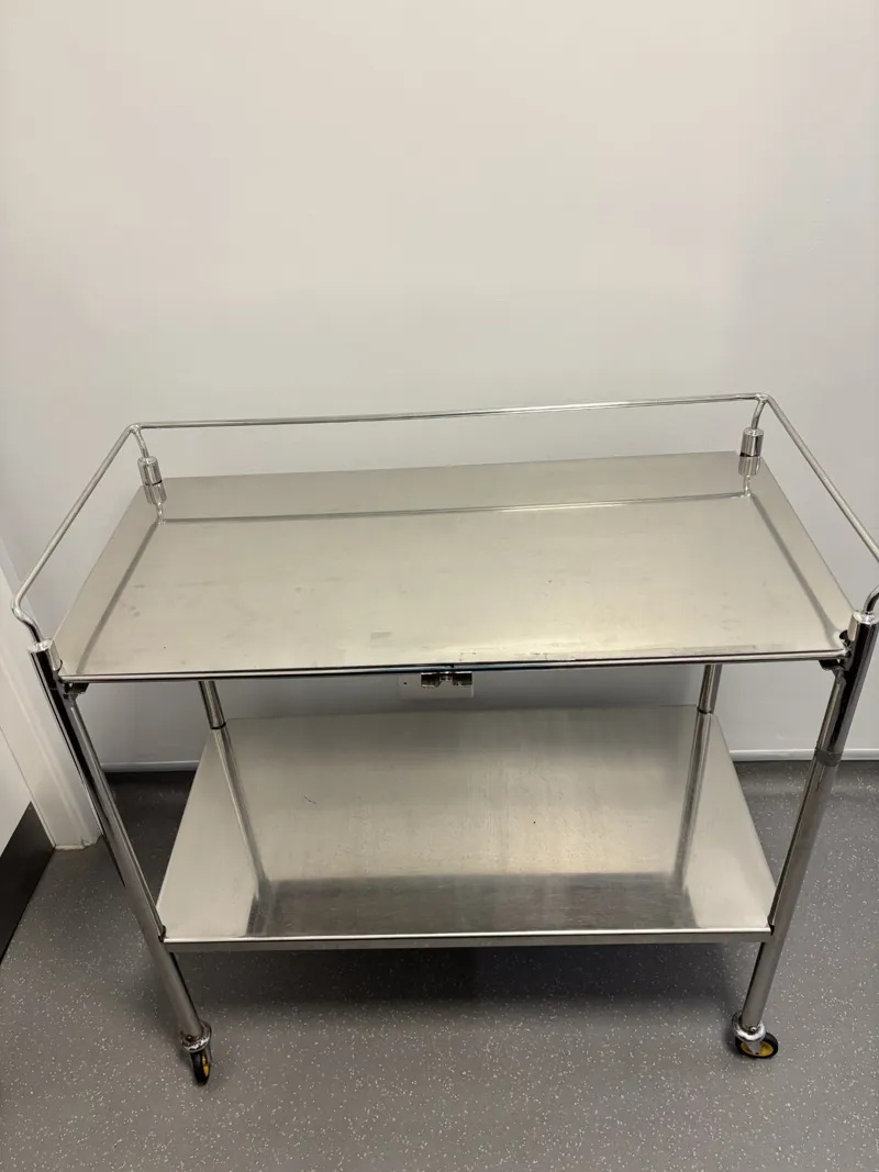 Stainless Steel Trolley with Handles