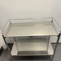 Stainless Steel Trolley with Handles