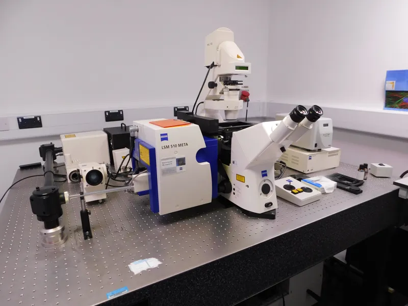 LSM510 META confocal laser scanning microscope