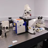 LSM510 META confocal laser scanning microscope