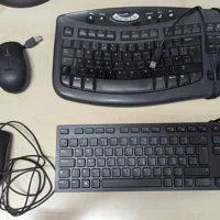 Microsoft Ergonomic Keyboard + Dell Mouse Bundle (2 sets)