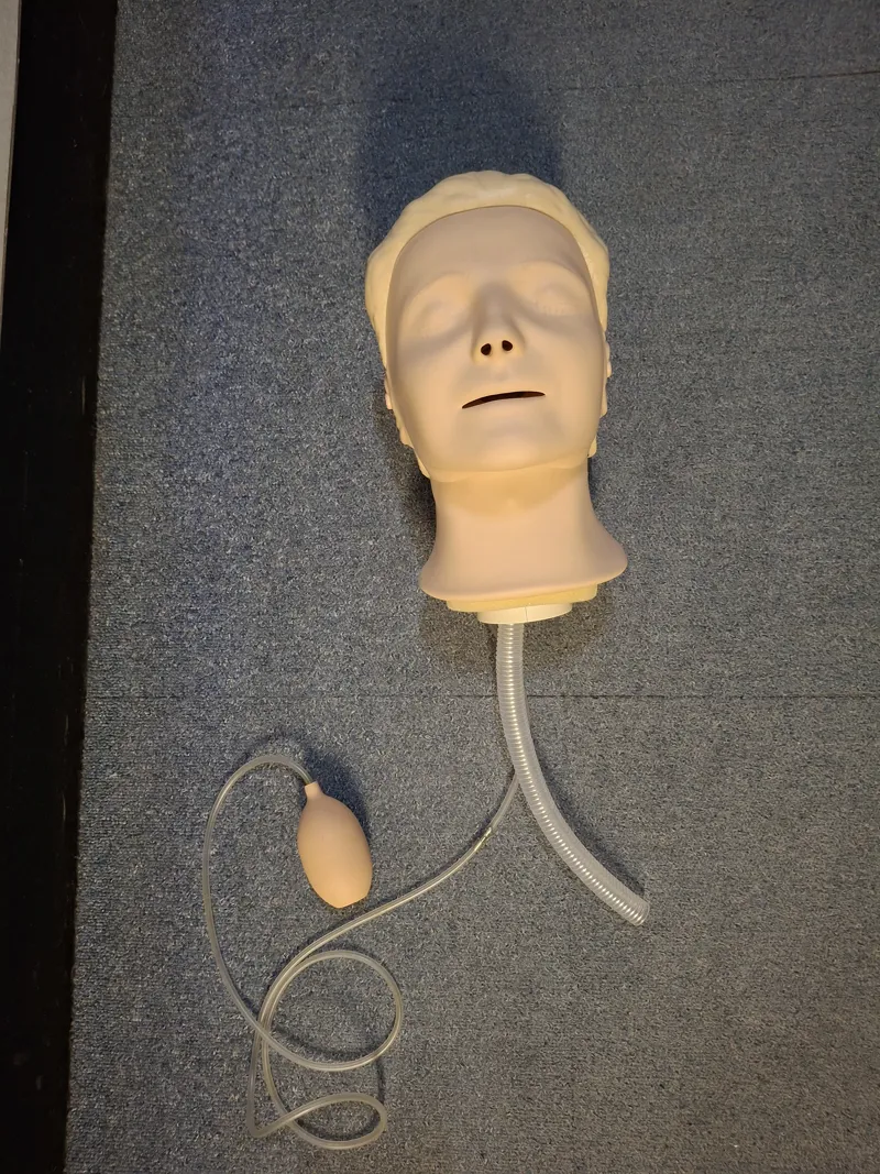 Laerdal Resusci Anne Head (for full body manikin)