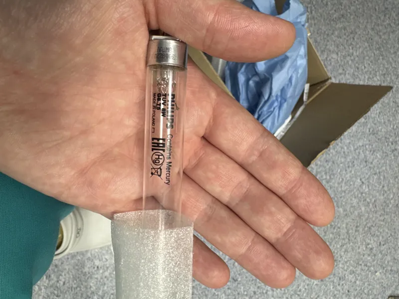 Bulb