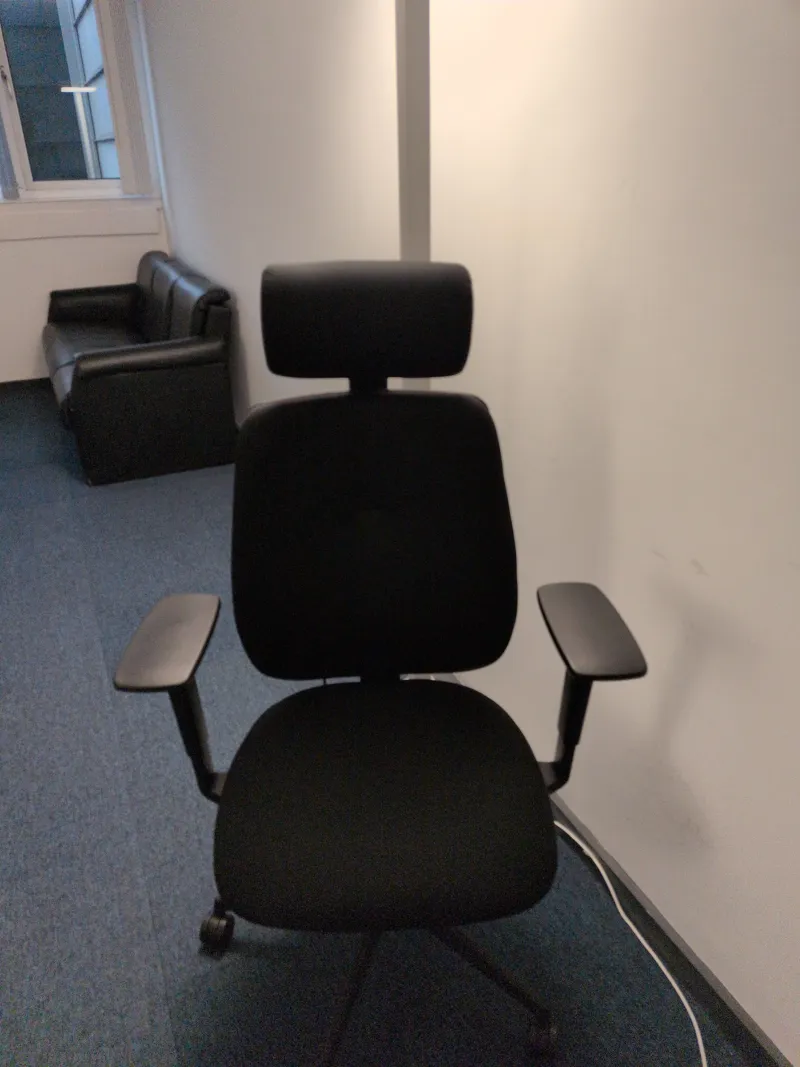 Black Ergonomic Office Chair with Headrest and Armrests